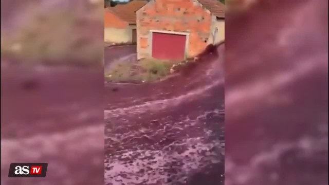 Watch: The streets of Portugal are flooded with red wine