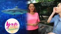 Ano ang STAR ATTRACTION ng Manila Ocean Park? (Yan ang Morning!)