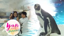 Mommy Marian, NAEXCITE sa mga PENGUIN! (Yan ang Morning!)
