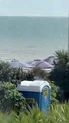 Basking shark believed to have been spotted off Bexhill