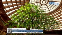 20230907アマゾンの破壊を止めろ！現場は？先住民族の思いは？：国際報道2023