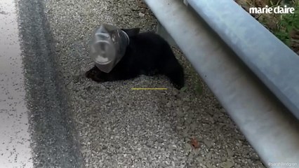 Cette femme sauve un ourson coincé dans un emballage plastique