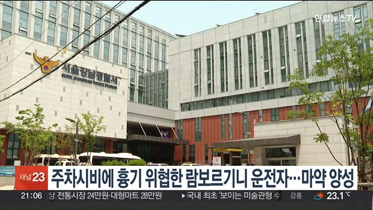 주차시비에 흉기 위협한 '람보르기니' 운전자…마약 양성