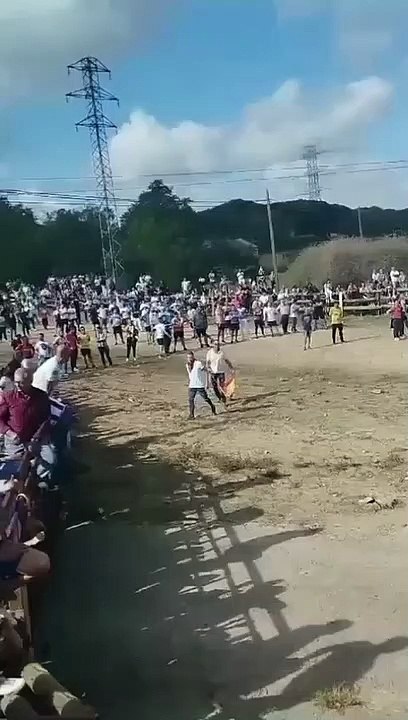 Momento en el que el Toro de la Vega rompe la talanquera