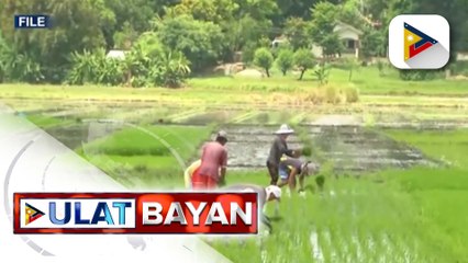 Panukalang magpapalakas sa batas vs. agri-smuggling, iniakyat na sa plenaryo ng Senado
