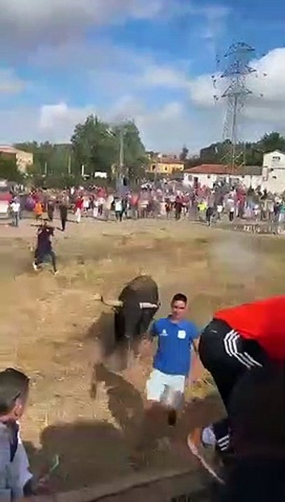 El Toro de la Vega carga contra un hombre
