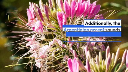 Details, Fiction And concacaf nations league