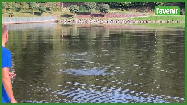Le premier championnat de Belgique de ricochets à Neufchâteau