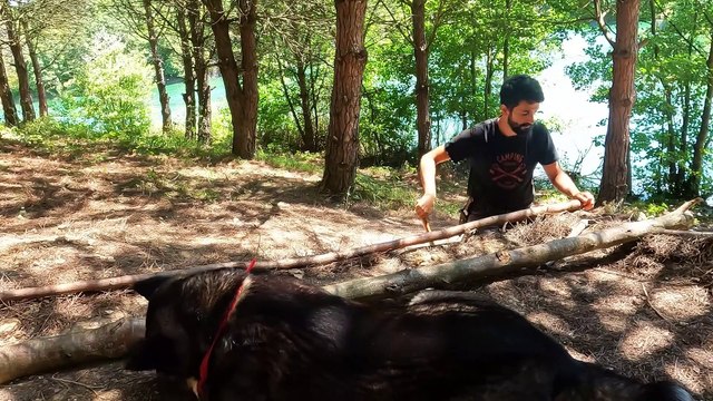 3 Days SOLO CAMPING - BIG CARP FISHING - CATCH and COOK - BUSHCRAFT Tent Shelter - Survival Skills