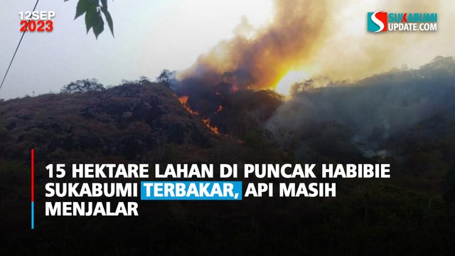 15 Hektare Lahan di Puncak Habibie Sukabumi Terbakar, Api Masih Menjalar