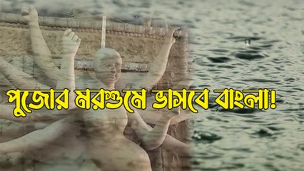 পুজোর মরশুমে ভাসবে বাংলা! কেনাকাটা থেকে ঠাকুর তৈরি, বৃষ্টির জেরে কি সব মাটি?