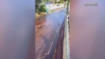 In Portogallo un fiume di vino rosso invade le strade
