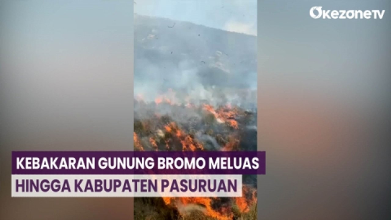 Kebakaran Gunung Bromo Meluas hingga Bukit Keciri di Pasuruan