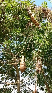 4K Nature Relaxation | Amazing Scenery | Peaceful View | Calm