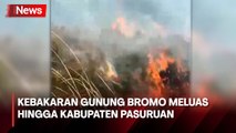 Kebakaran Gunung Bromo Sudah Mencapai Bukit Keciri di Pasuruan