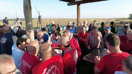 Segundo encierro por el campo de las Fiestas de Carbonero el Mayor 2023