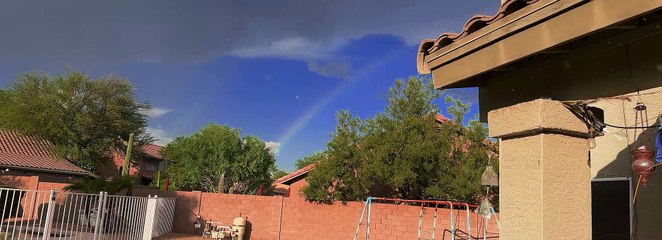 Sun Shower (3-Strip)