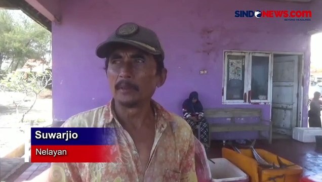 Terjerat Jaring Nelayan, Hiu Tutul Sepanjang 6 Meter Mati di Pantai Jatimalang