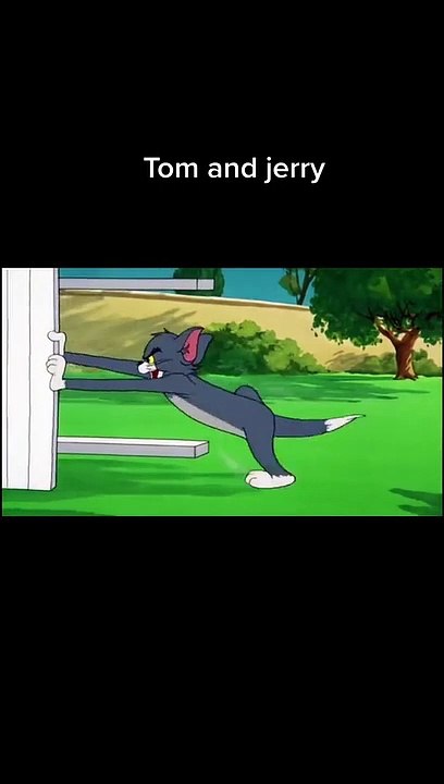 funny tom and jerry