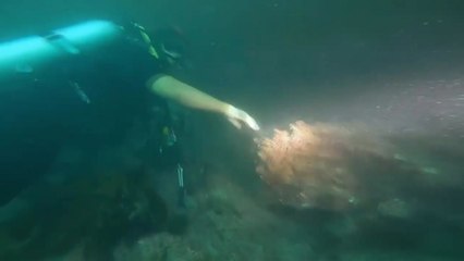 제주서 좌초된 화물선 13시간 만에 부두 입항...인명피해 없어 / YTN