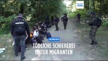 Migranten schießen aufeinander: Tote und Verletzte an der serbisch-ungarischen Grenze