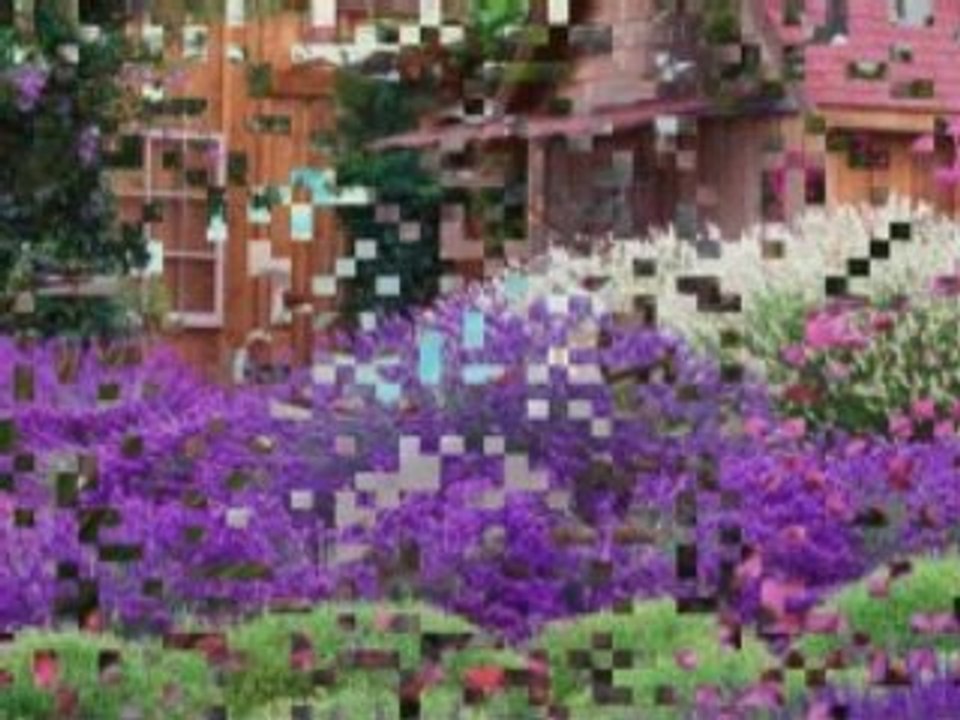 Des fleurs