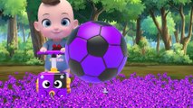 Color Balls & Sing a Song! - Finger Family & Rock A Bye Baby + more Nursery Rhymes - Baby & Kids