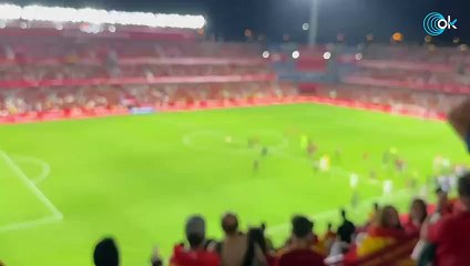 ¡Sorpresa en Los Cármenes! Un espontáneo desafía a la seguridad en pleno partido 🏟️