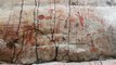 Ice Age Rock Art Discovered Hidden In Amazon Rainforest