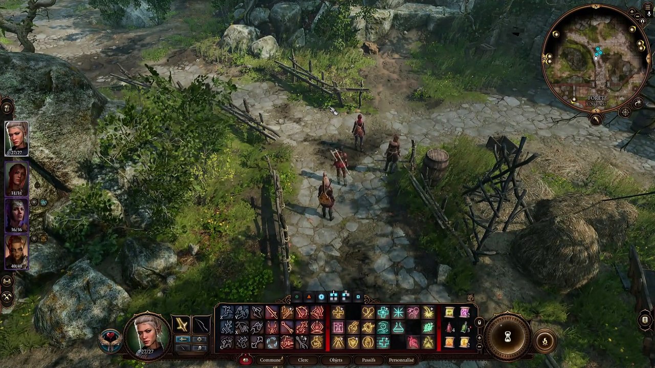 Pris en flag [BALDUR'S GATE 3]