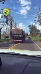 Polícia Rodoviária persegue caminhão carregado com cigarro contrabandeado na PR-323