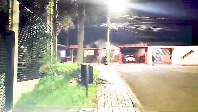 Moradores teriam se mudado há dois meses deixando cachorros trancados, diz internauta