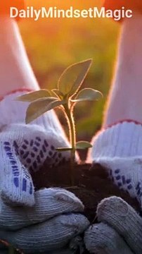 Seeds of Positivity | Motivational Quote | #DailyMindsetMagic | #Motivation #Mindset #Lifestyle #Mentality #Inspiration #Quotes #Positive #Deep #Dream #Shorts #Reels #TikTok