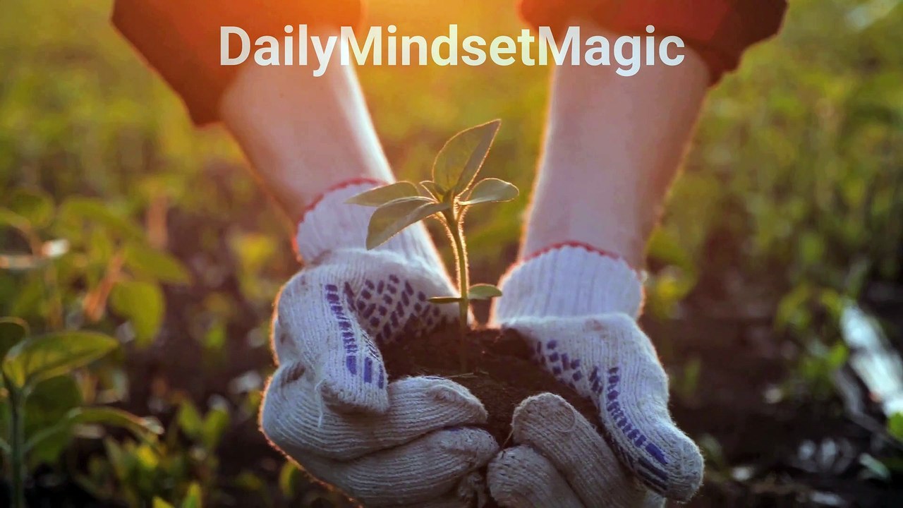 Seeds of Positivity | Motivational Quote | #DailyMindsetMagic | #Motivation #Mindset #Lifestyle #Mentality #Inspiration #Quotes #Positive #Deep #Dream #Shorts #Reels #TikTok