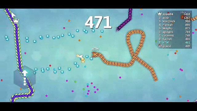 How Many Snakes was killed