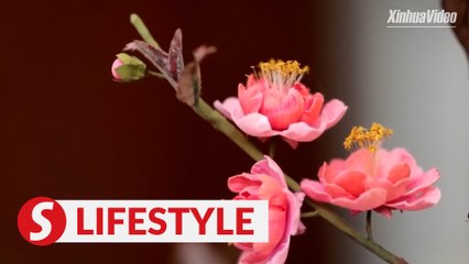 Traditional paper flower making: Cultural treasure from South China