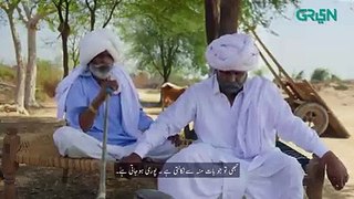Jindo | Episode 02 | Humaima Malik | Mirza Gohar Rasheed | Hajra Yameen | Naeema Butt | Green TV