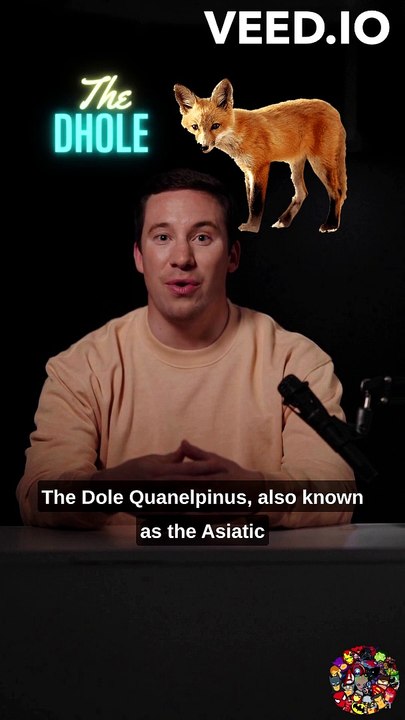 Dhole: The Vanishing Wild Dog of Asia