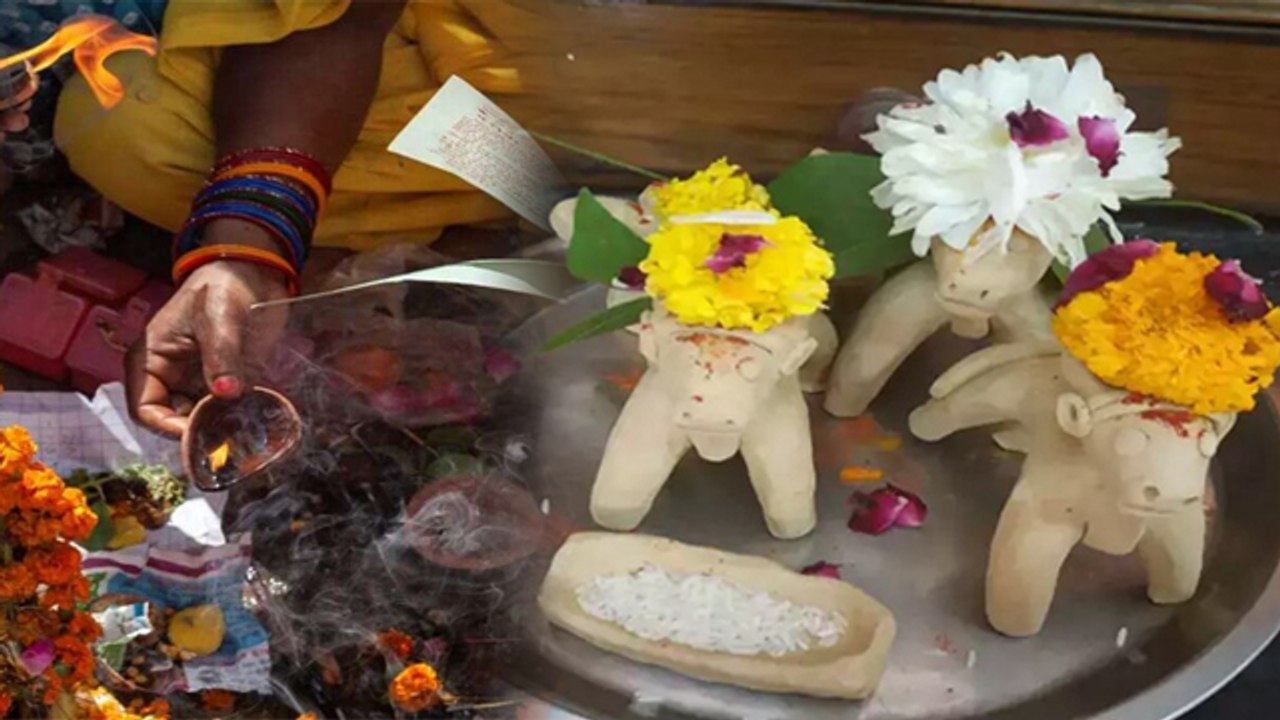 Pithori Amavasya 2023 Puja Vidhi: पिठोरी अमावस्या पूजा विधि | पिठोरी अमावस्या की पूजा कैसे करें