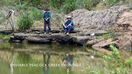 Taylors Run, Bonalbo, NSW | September 13, 2023 | Farmonline