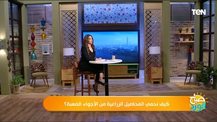 كيف نحمي المحاصيل الزراعية من الأجواء الصعبة؟.. رئيس مركز تغير المناخ يجيب ويحذر هذه المحافظات