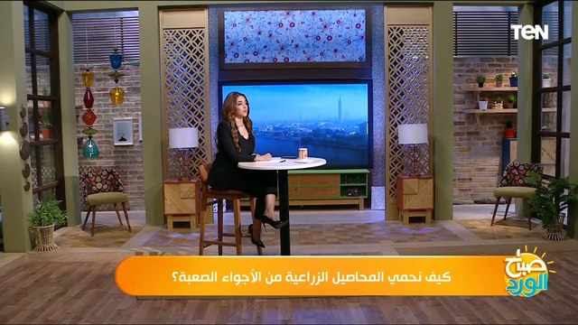 كيف نحمي المحاصيل الزراعية من الأجواء الصعبة؟.. رئيس مركز تغير المناخ يجيب ويحذر هذه المحافظات