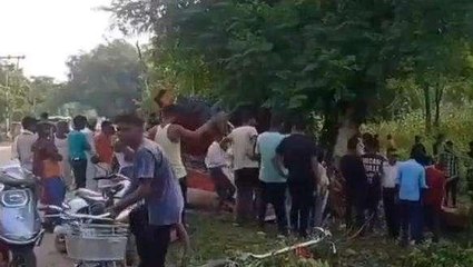 BREAKING: मवेशी भरा अनियंत्रित पिकअप पेड़ से टकराया, चालक और चार मवेशी की मौत