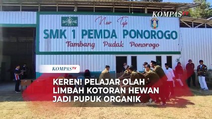 Download Video: Keren! Pelajar dan Lazisnu Olah Limbah Kotoran Hewan Jadi Pupuk Organik untuk Petani