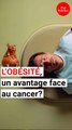 Quand l’obésité peut aider à combattre le cancer