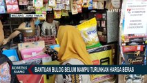 Bantuan Bulog Belum Mampu Turunkan Harga Beras, Begini Langkah Pemerintah Selanjutnya