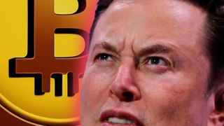 Elon vs. Burry : Qui est le plus fou? L'investissement choc de Musk dans le Bitcoin dévoilé!