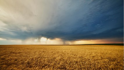 Yvelines : une femme retrouvée le crâne brisé après avoir été battue par son mari