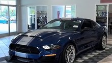 Shelby Mustang Gt500 Super Snake 2023