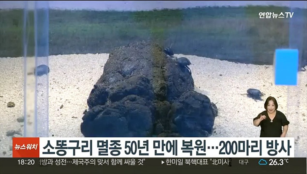 소똥구리 멸종 50년 만에 복원…200마리 방사